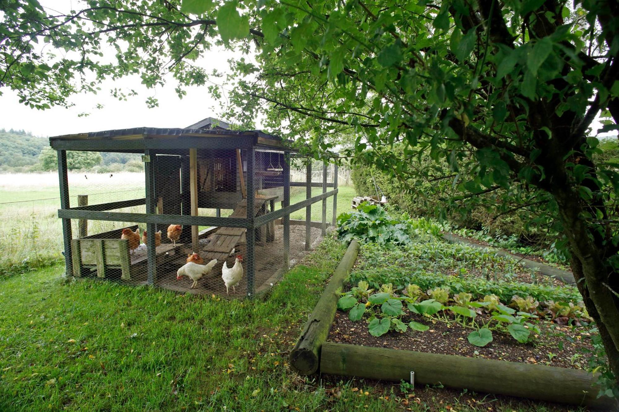 Bed & Breakfast Au Coq En Pate Jalhay